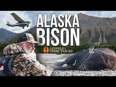 An EPIC Alaskan Float Hunt For BISON #FreshTracks