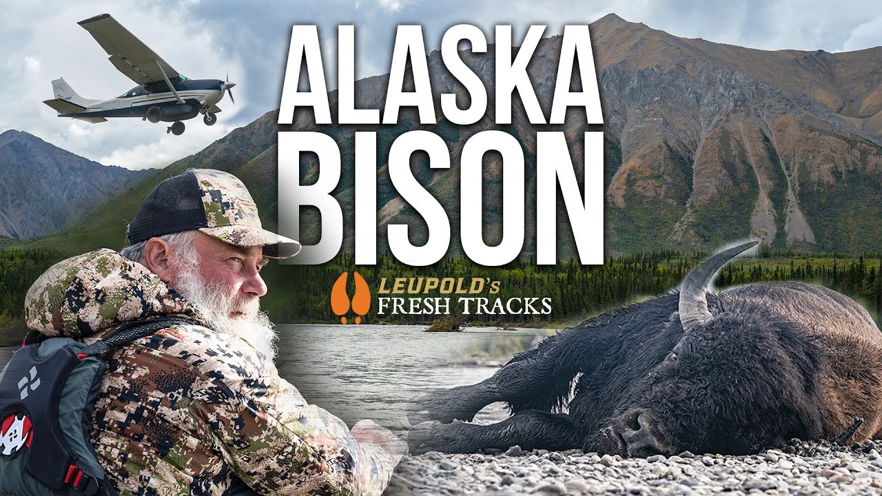 Epic Alaskan Float Hunt for Bison 🦬 | Adventure with Jim Baichtal
