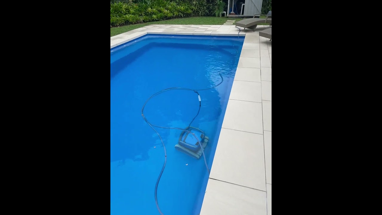 Dolphin M600: Advanced Handheld Scanner