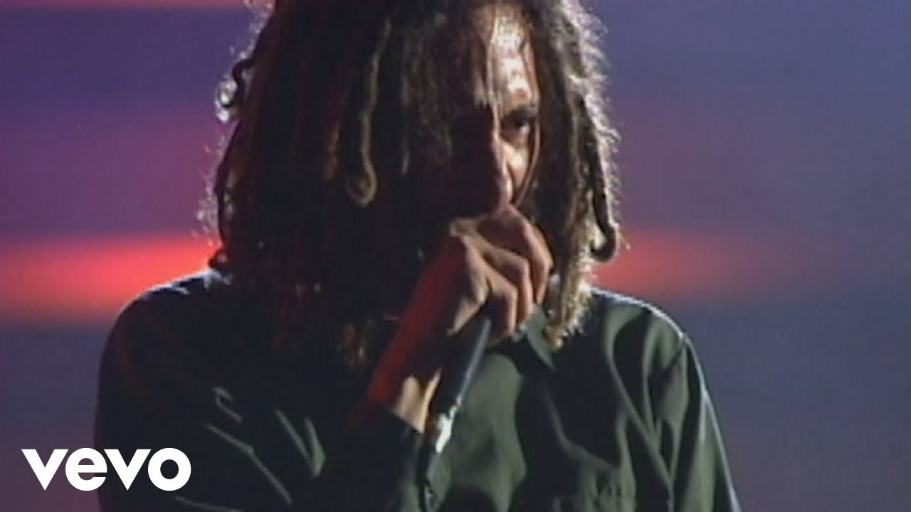 Rage Against the Machine - Guerrilla Radio 🎙️