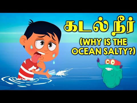 கடல் நீர் ஏன் உப்பாக உள்ளது? 🌊