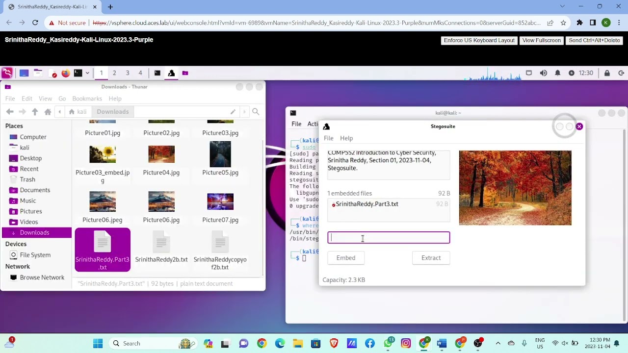 COMP 500 Lab 7: Mastering Data Hiding with Stegosuite in Kali Linux ๐ผ๏ธ
