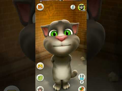 आज की रात | Aaj Ki Raat - Stree 2मधुबंती बागची | Tamannaah Bhatia #talkingtom2.0