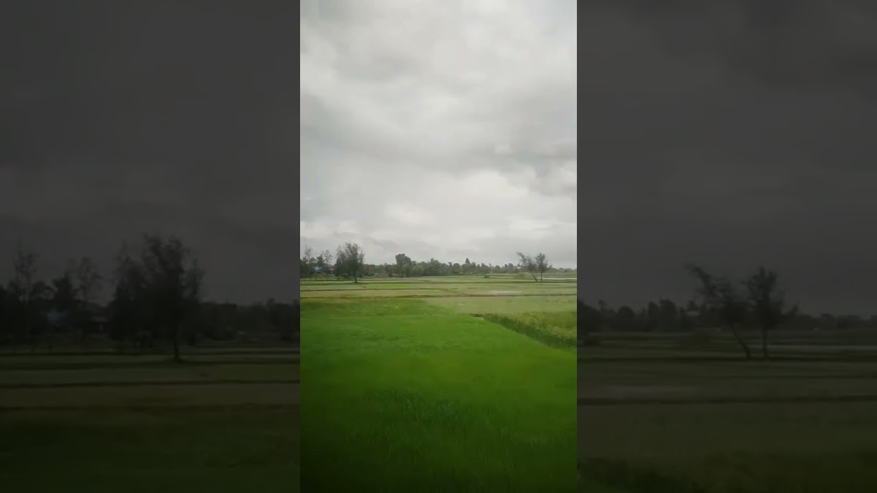 শ্রীকান্ত আচার্য্য ও ব্রততী বন্দোপাধ্যায়ের রবীন্দ্রসংগীত 🎶