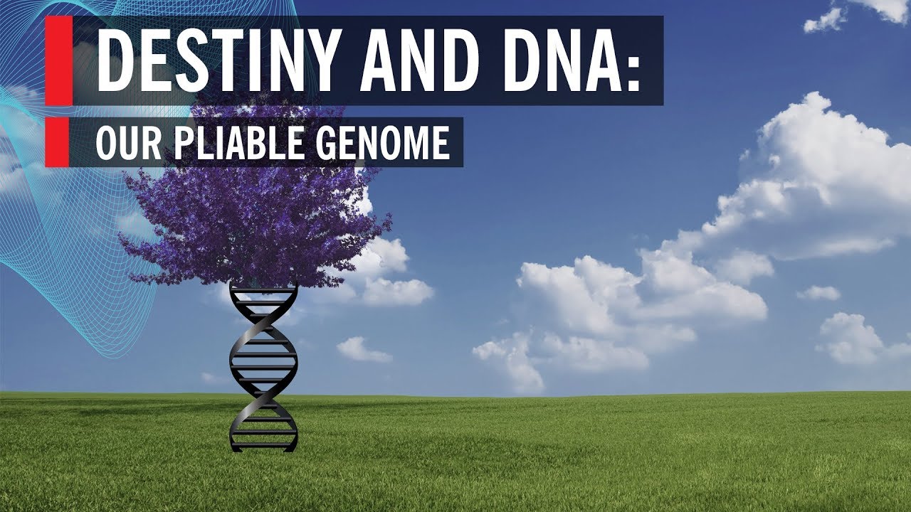 Destiny & DNA: How Genes Shape Us 🔬
