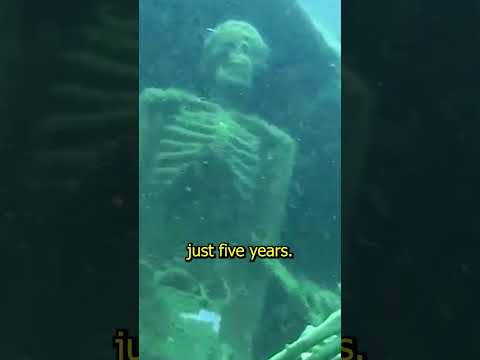 What happened to the bodies of the people who sank with the Titanic? #shorts #facts