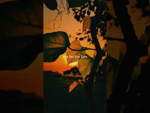 chupa bhi na sakenge kalank #kalank #arijitsingh #sadstatus #sadsong #sadromanticsongs #lyrics