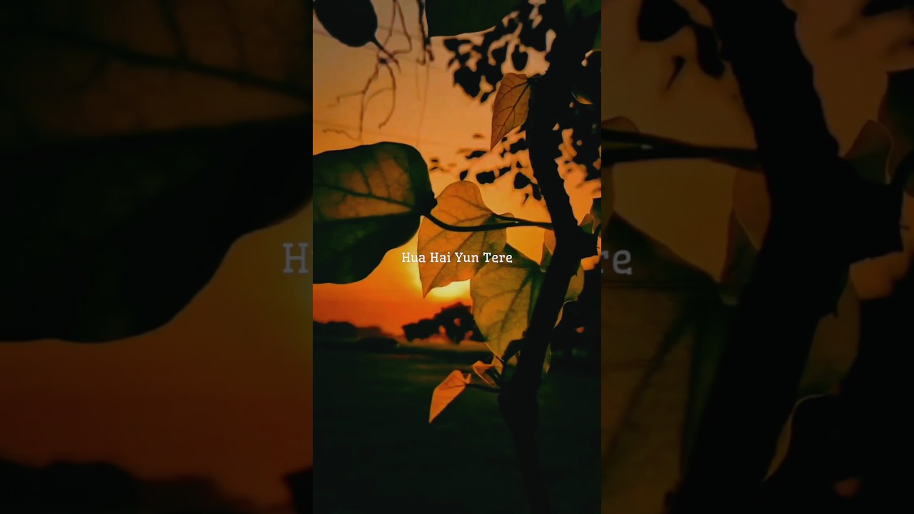 Kalank Song by Arijit Singh 🎶