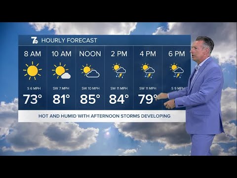 7 Weather 6am Update, Monday, June 30