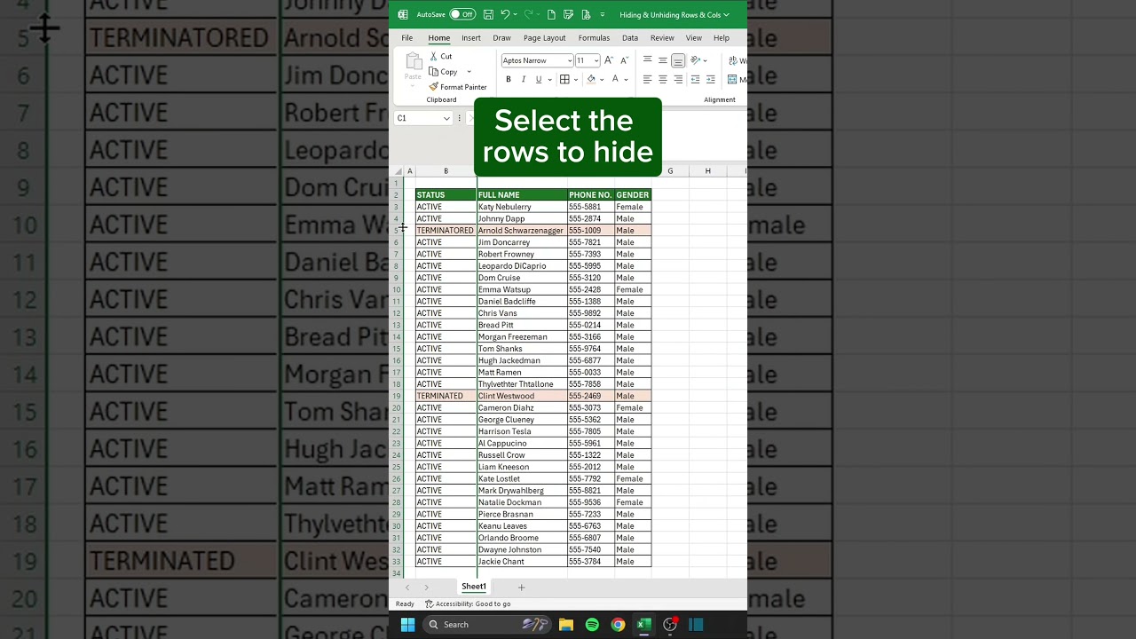 Hiding and Unhiding Rows and Columns in Excel