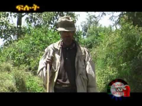 ETHIOPIAN MUSIC - GURAGIGNA AREGAHEGN - WACHO KIBSECHO BEDOCHO