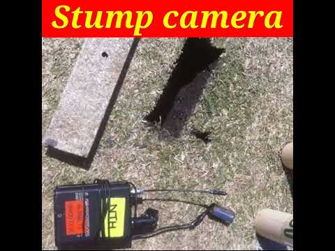 Cricket match top 10   fast tecnology stump camera, #cricket #shorts #tecnology #stumpcamera
