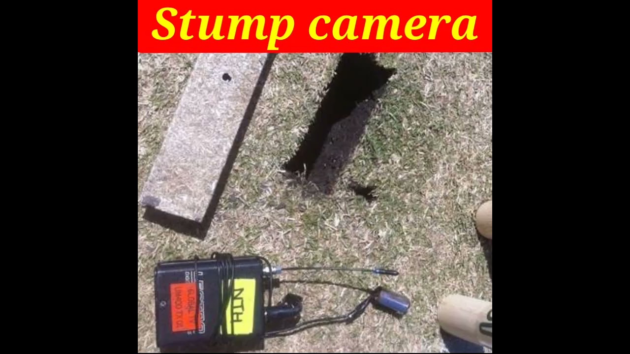 Top 10 Fastest Stump Cameras in Cricket 🏏 | Cutting-Edge Technology Highlights