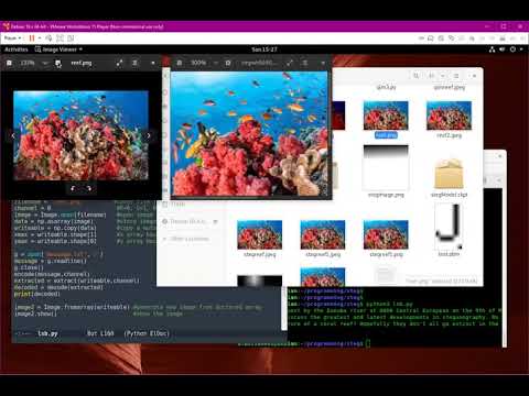 Least Significant Bit (LSB) steganography demonstration