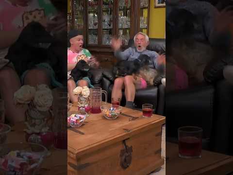 Little snippet from Gogglebox Ireland 🤣💚 #irish #gogglebox #goggleboxireland #chaos #family