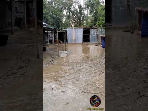 āĻšāĻžāĻāĻŽāĻžāϰ āĻĄā§ā§ā§āϝāĻžāĻš āĻāĻā§ā§āϝāĻžāϰ⧠đ´ āĻāĻā§āĻāϞāĻŋāĻ āĻāĻžāύ đ§đŠ Gour Bangla Songs â¤ī¸ #shorts #song #viralvideo #ytshorts