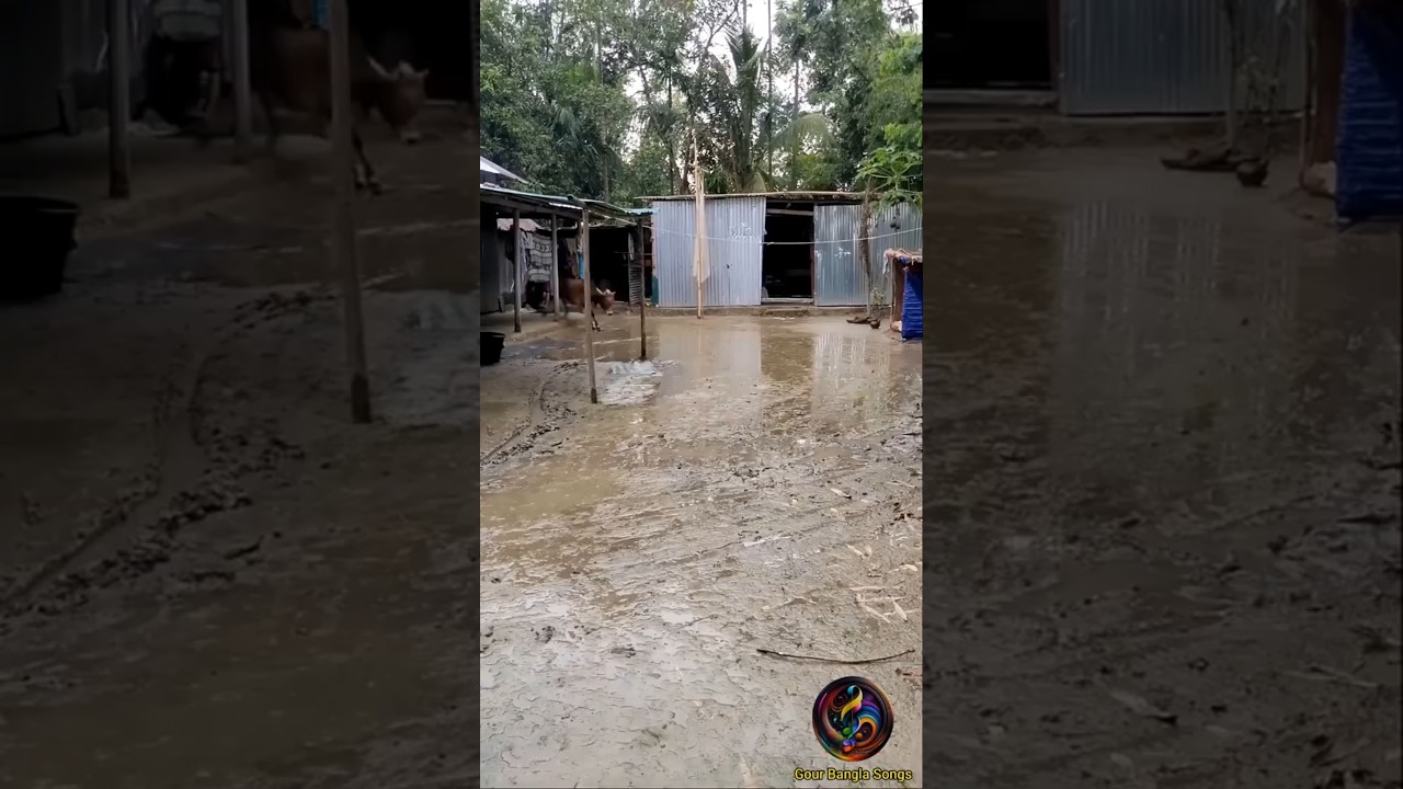 মৌলিক আঞ্চলিক গান: হাঁমার ডেড়্যাহ আঁড়্যারে 🎶 | Gour Bangla Songs