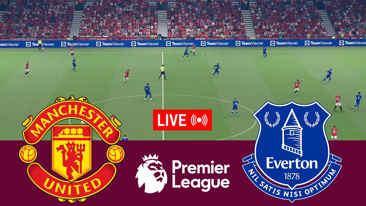 Manchester United vs Everton Live Simulation ⚽