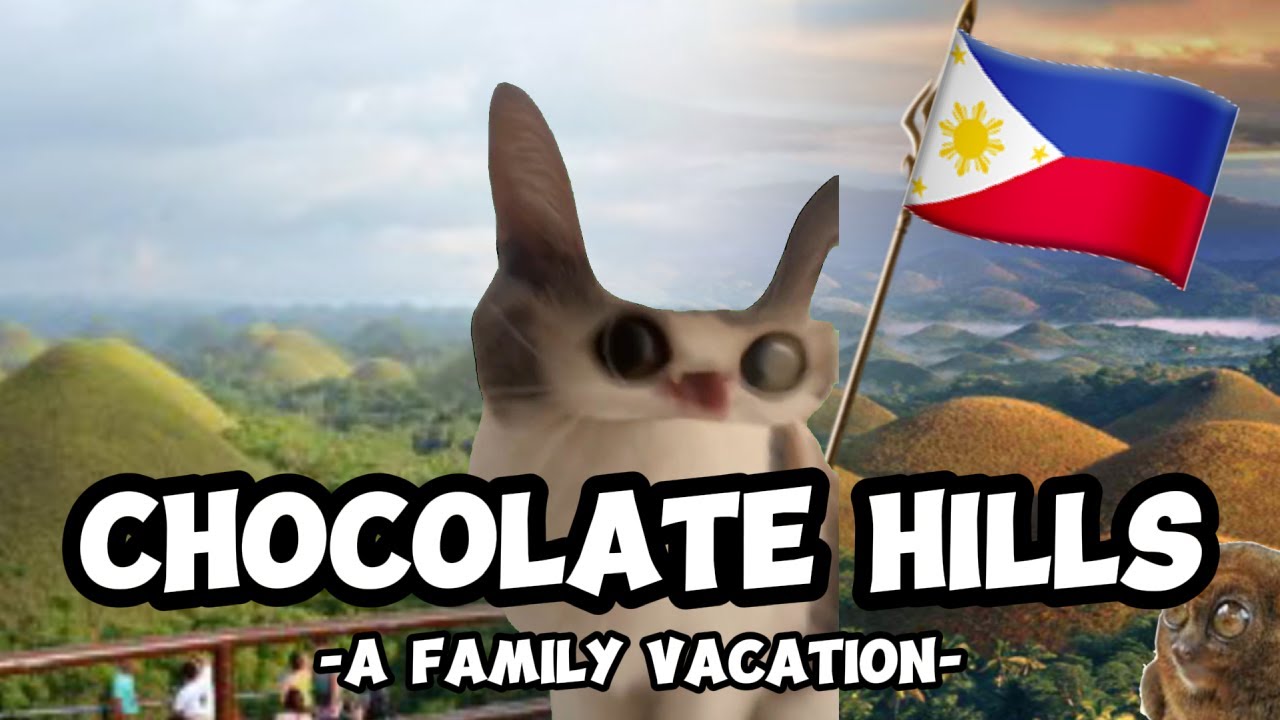 Cat Memes from Family Vacation in Bohol Compilation
