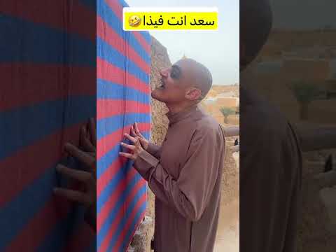 سعد أنت فيذا