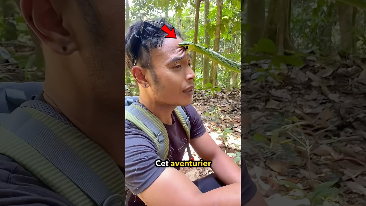 Comment survivre à une Morsure de Serpent 😳