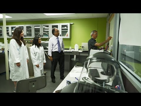 Faculty of Mathematics, University of Waterloo