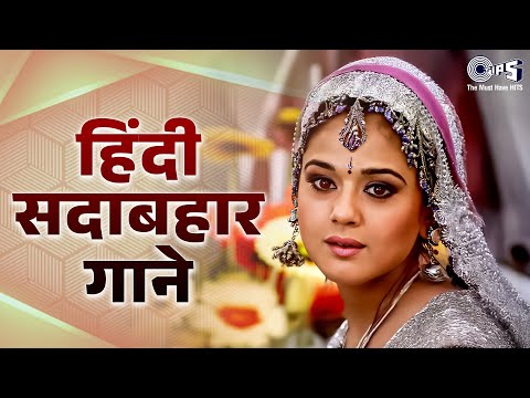 हिंदी सदाबहार गाने | 90s Hits Hindi Song | Hindi Gane | Old Songs | 90s Love Songs | Sadabahar Gane