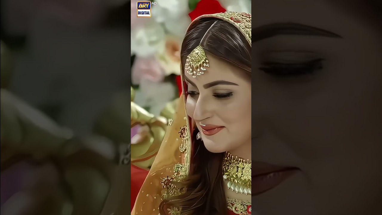 Heartwarming Moment with Danish Taimoor & Hiba Bukhari 🥰