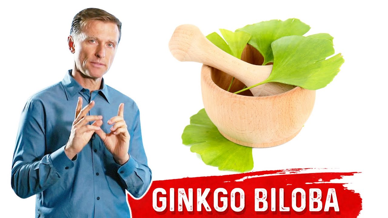 Ginkgo Biloba Benefits Explained 🌿