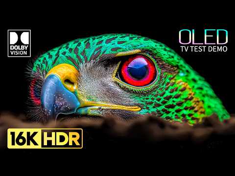 OLED TEST DEMO | 16K HDR 120 FPS Dolby Vision (8K / 4K Video TV TEST)