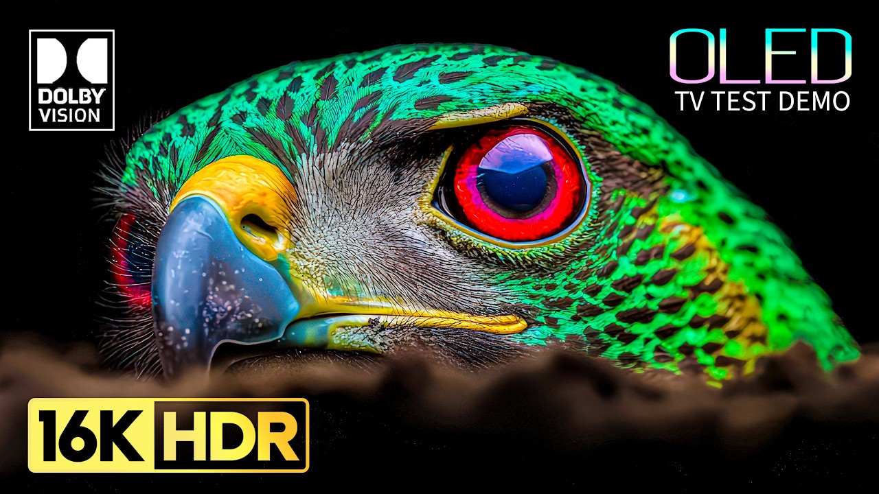 Ultimate OLED Test Demo: 16K HDR, 120FPS Dolby Vision & Dolby Atmos 🌟