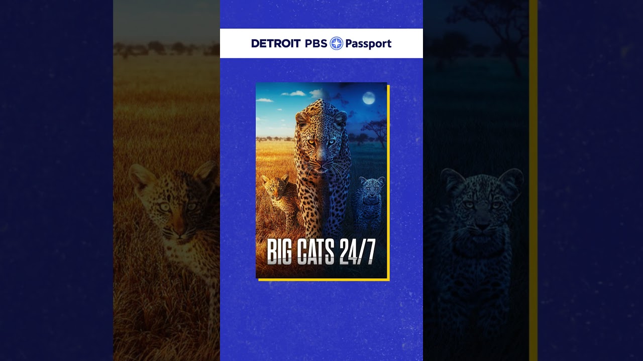 Celebrate Earth Month with a Fun Game! 🌍