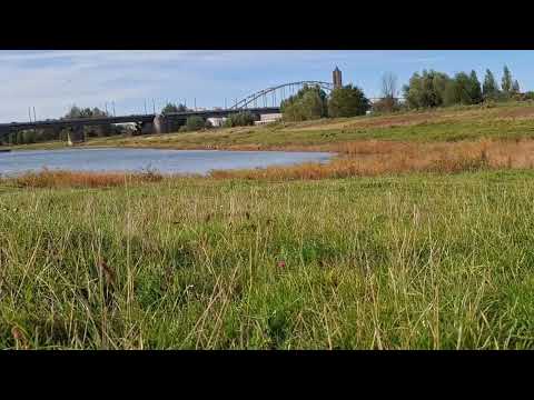 Het zwaard van Damocles boven de wereld