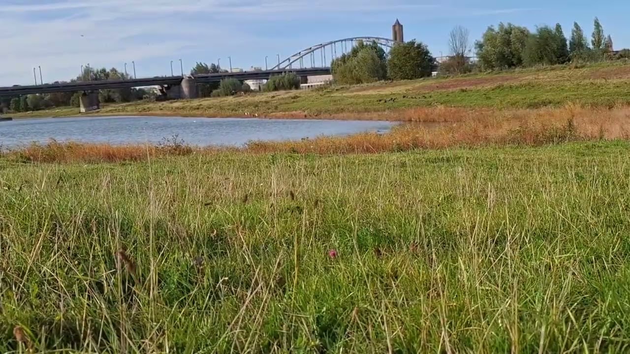 Het Zwaard van Damocles: Hoe Universele Invloeden Jouw Leven Beïnvloeden ⚖️