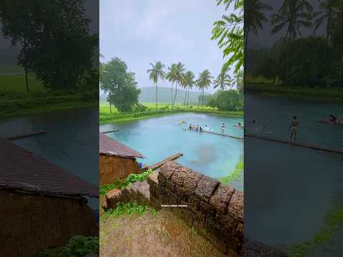 Monsoon days and bluish pond in kerala..!! #rain #music #nature #monsoon