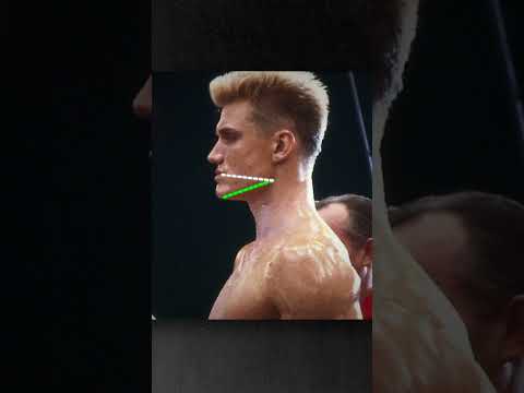 How Attractive is Dolph Lundgren ?!