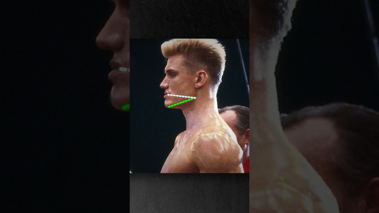 Discover How Handsome Dolph Lundgren Really Is! 😍