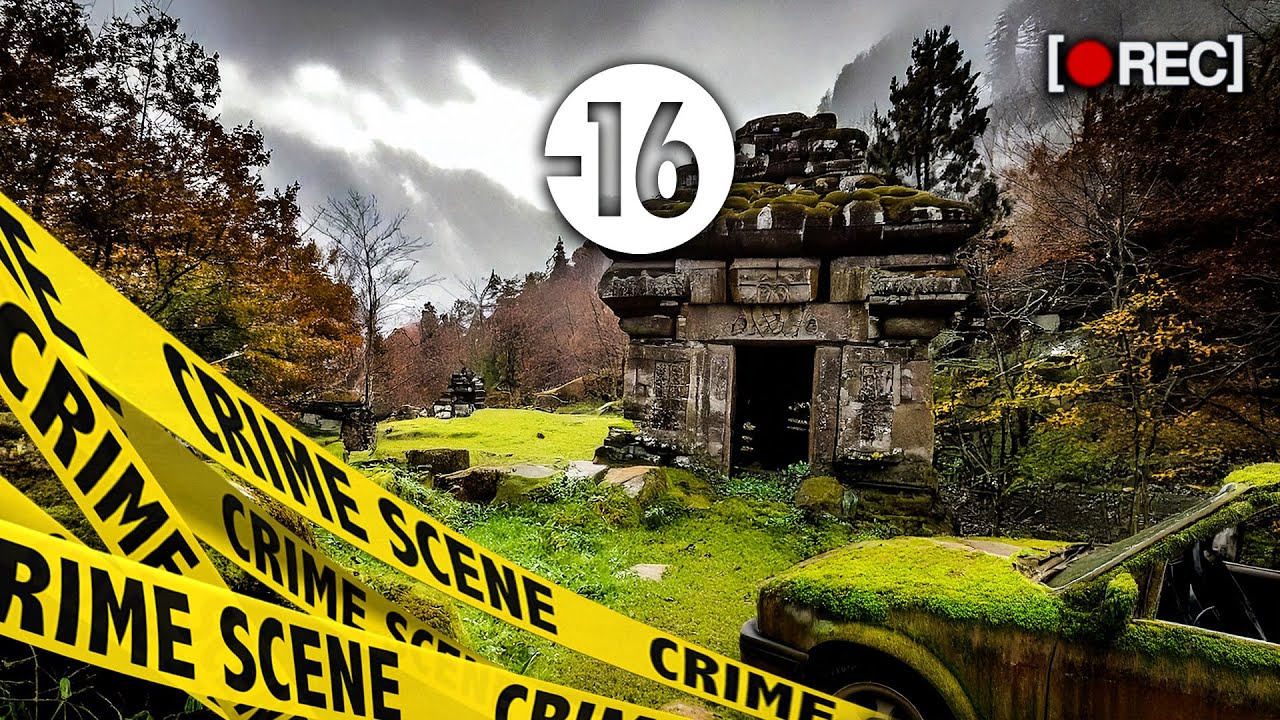 Aventure en Forêt : Découvrez un Domaine Mystérieux et ses Pièces Détachées 🏞️