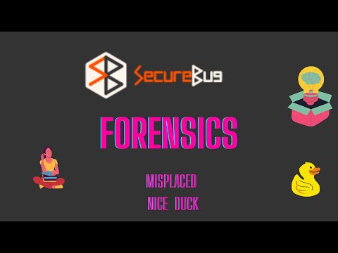 SecureBug CTF | Forensics (Level : Easy & Medium) | CTF For Beginners