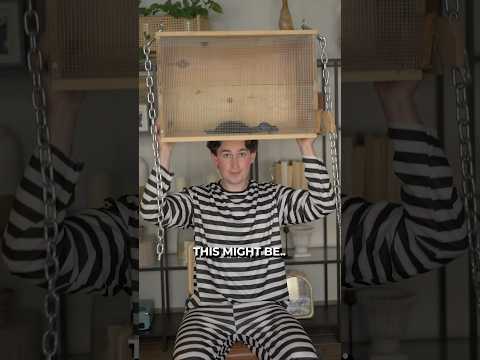 The Most Brutal Medieval Punishment 😭