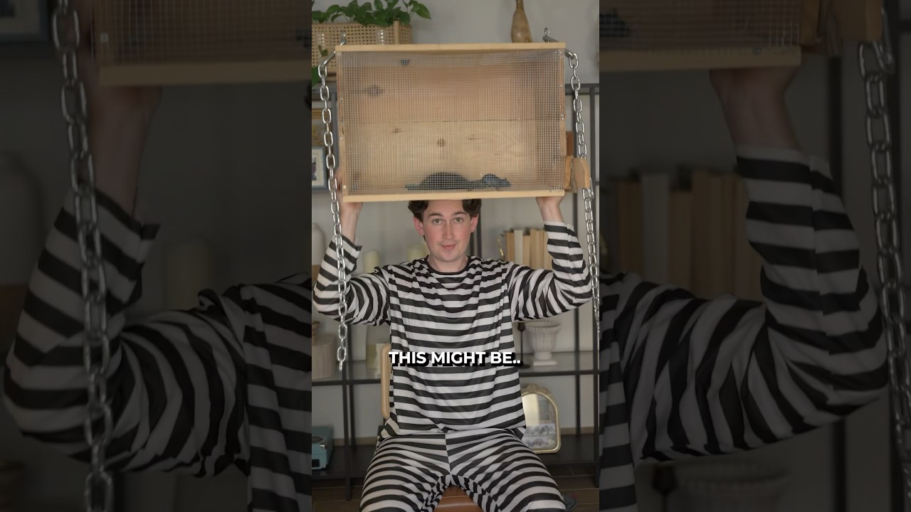 The Most Brutal Medieval Punishments That Will Shock You ⚔️