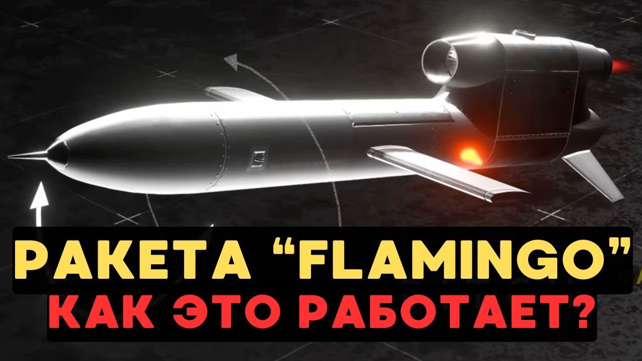Украинская ракета Фламинго: как она работает?