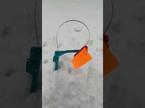 Жерлицы Петрова. Щука бьет #fishing #рыбалка #fish #щука #жерлицыпетрова#зимняярыбалка