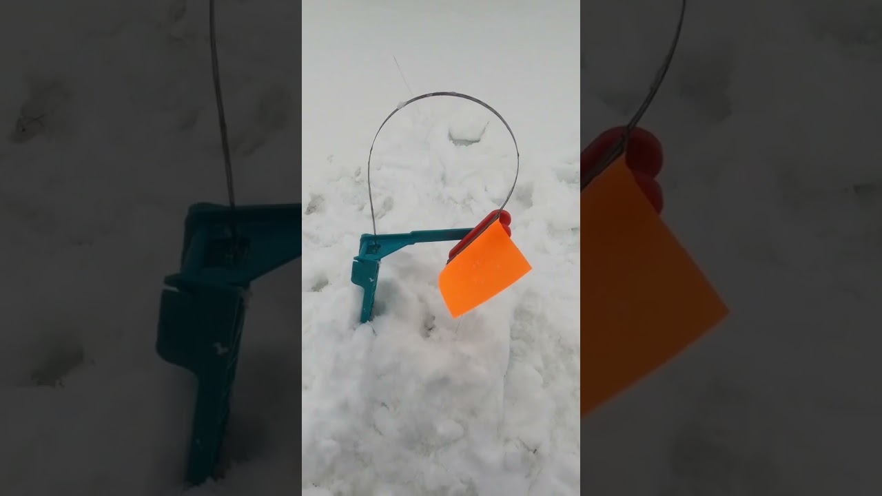 Зимняя рыбалка на жерлицы Петрова — щука в улове 🎣