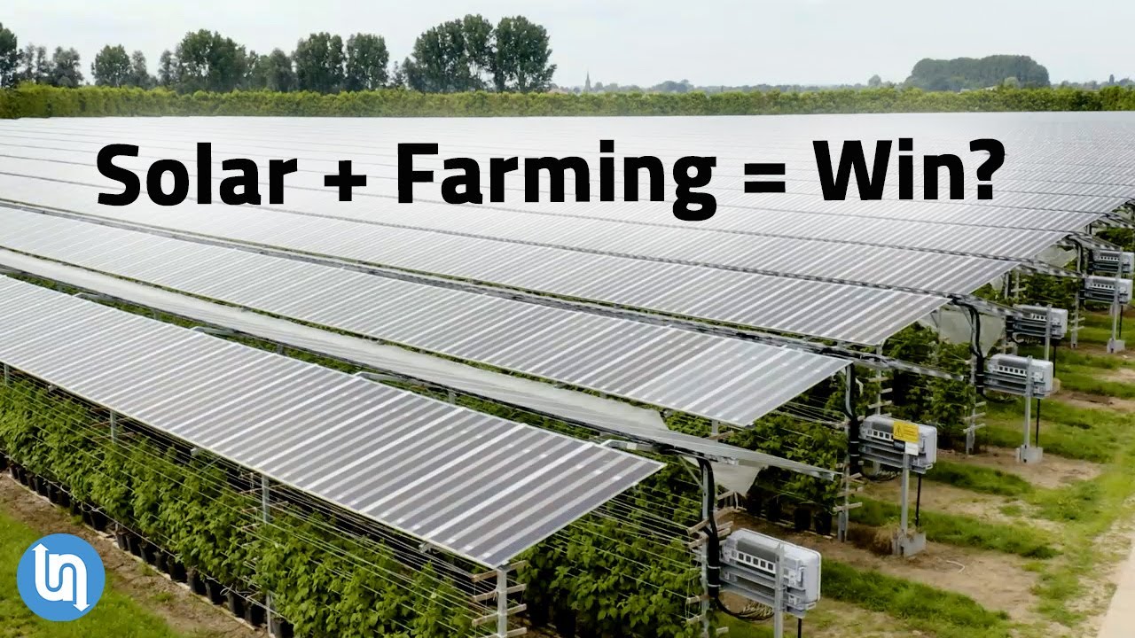 Agrivoltaics: Solar Panels & Farming Synergy 🌱