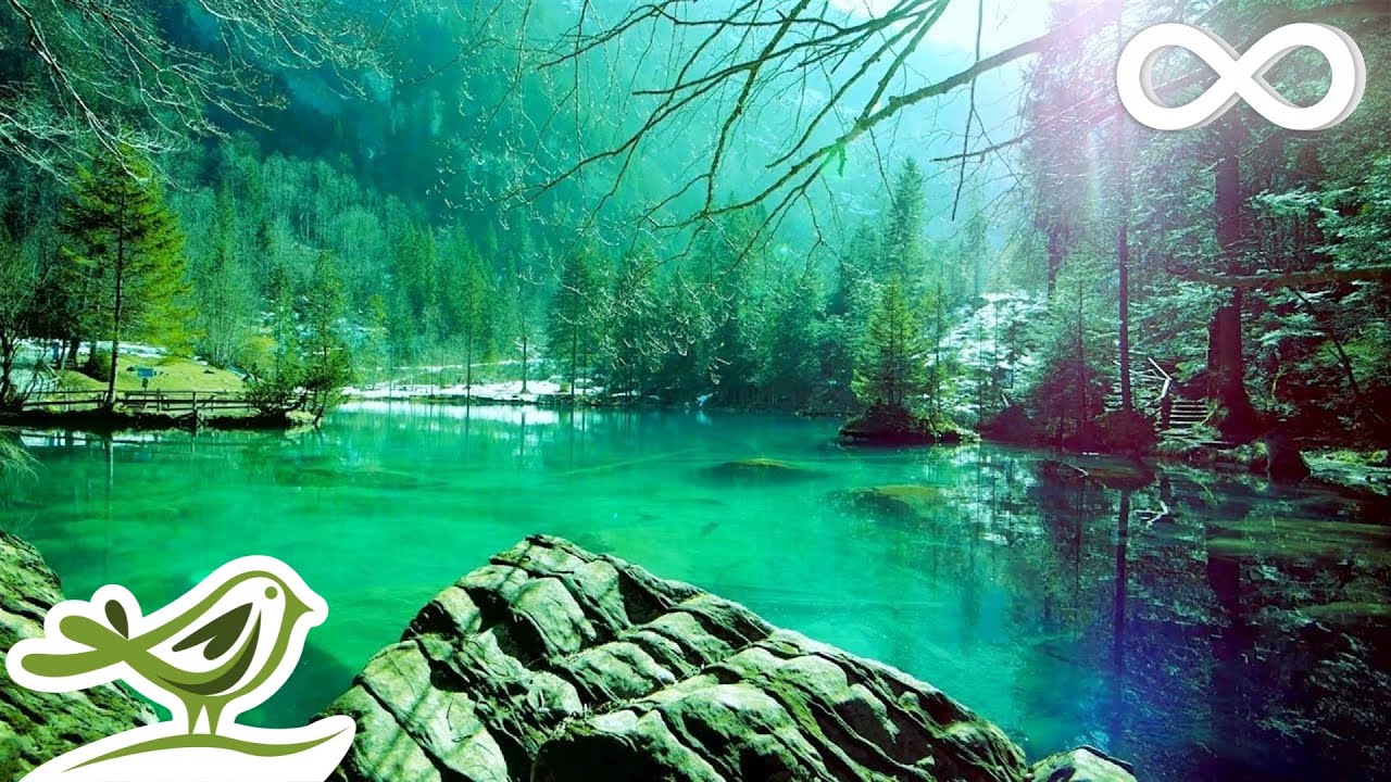 12 Hours of Relaxing Sleep & Meditation Music 💤