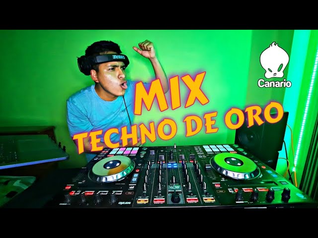 🔥 MIX TECHNO DE ORO por DJ Canario – Electrónica Salsa y Más