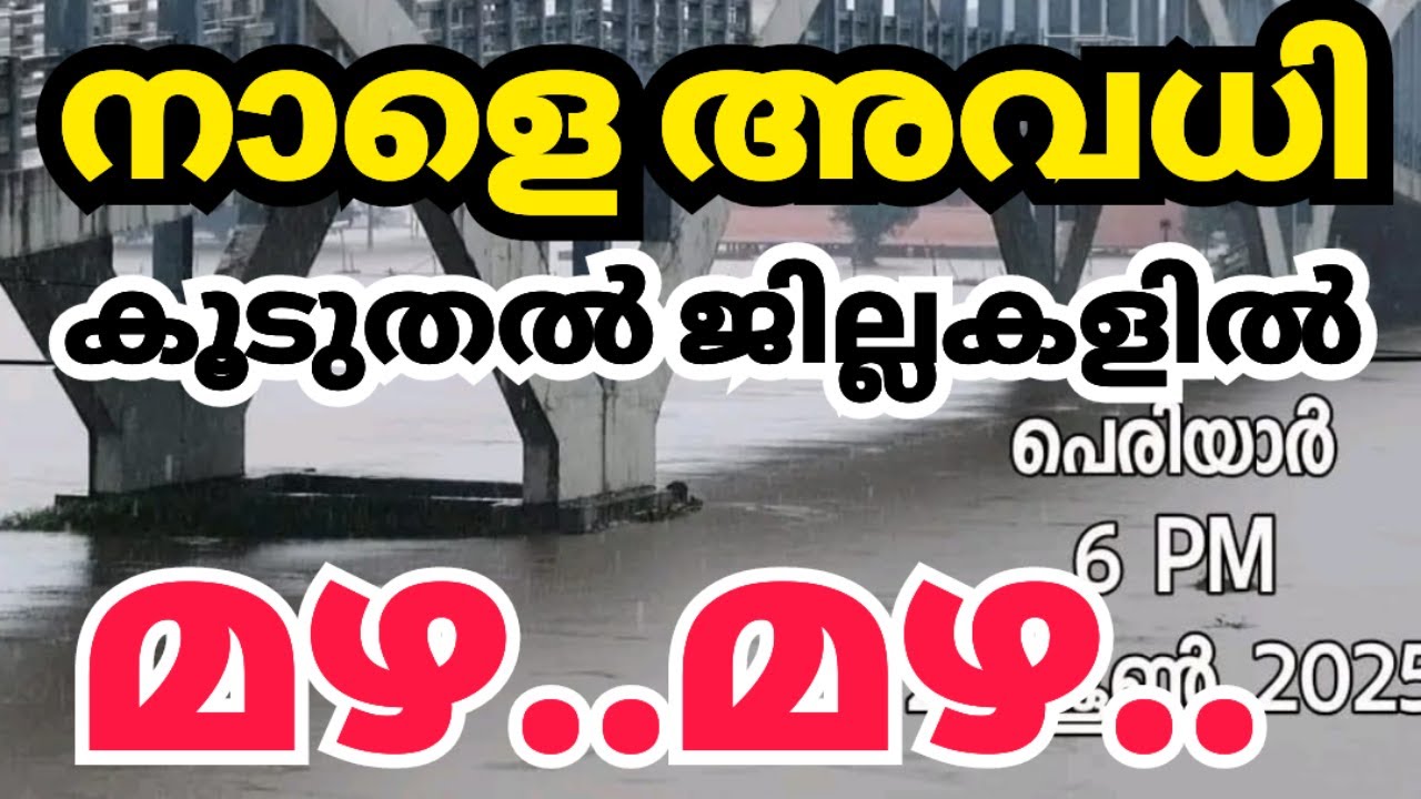 നാളെ 6 ജില്ലകളിൽ അവധി; കേരളത്തിലെ മഴയും അവധി പ്രഖ്യാപനവും