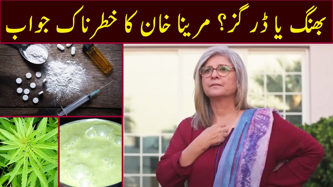 Marina Khan's Bold Response to Bhang or Drugs | BUTT G CLIPS | Ahmad Ali Butt