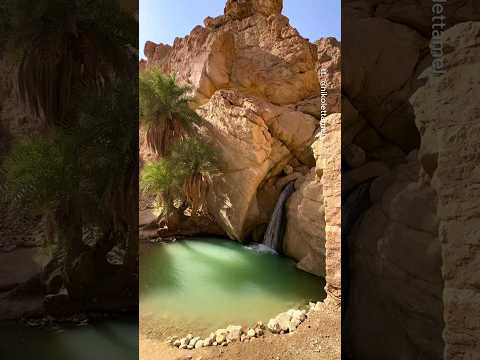 Places in Tunisia that don't feel real 🇹🇳🤯 #travel #adventure #explore #nature #tunisia